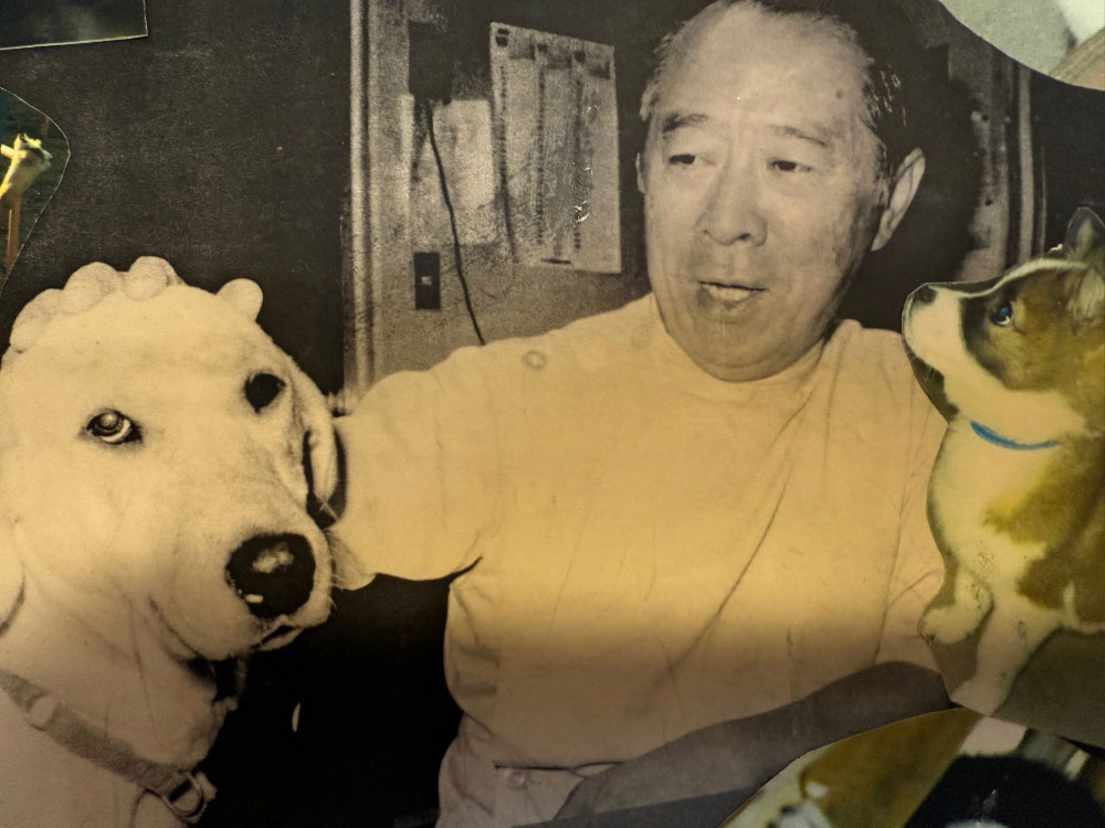 いっしょに100年 私たちの想い | 東田獣医科ウェルネスセンター