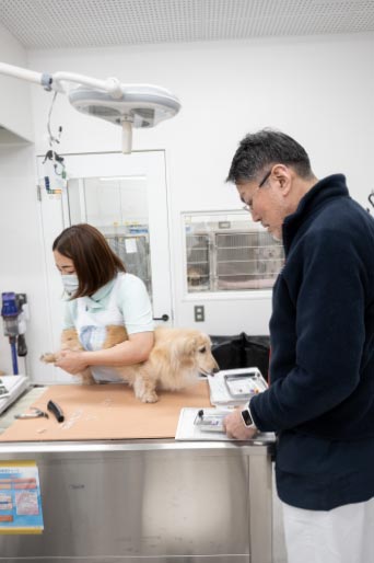 犬の診察風景