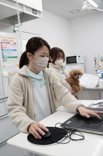 犬とスタッフたち