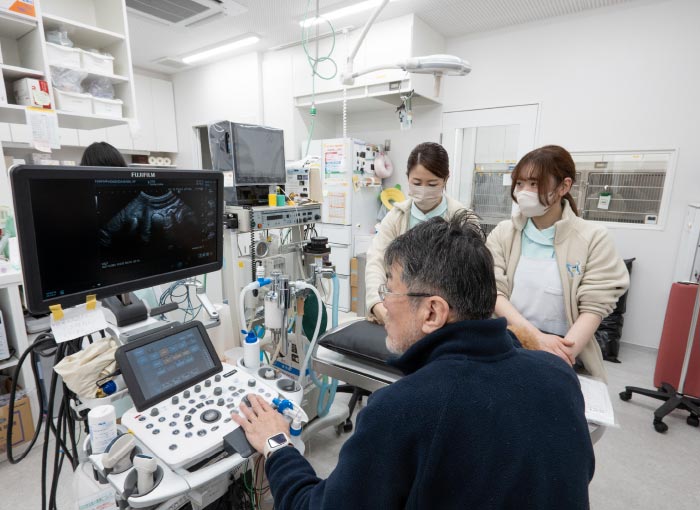 エコー検査中