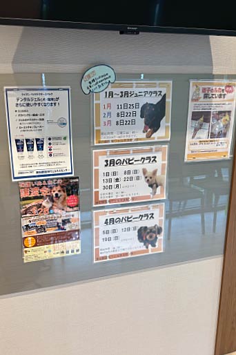 パピークラスやジュニアクラスの掲示物