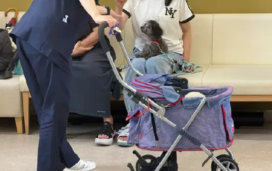 わんちゃんがのってても怖くないよ